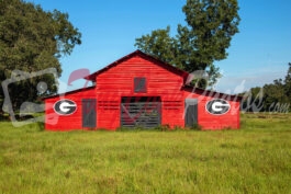 Georgia Bulldog Barn – 1