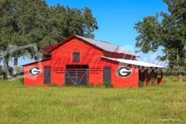 Georgia Bulldog Barn