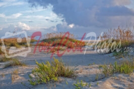 St. Augustine Sand Dunes