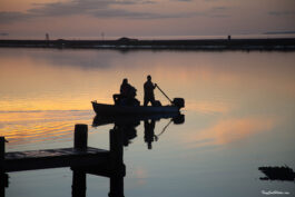 Early Morning Fishing on the Gulf (Color Photo)
