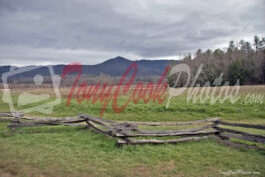 Meadow at Cades Cove