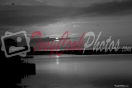Gulf Sunrise (Black & White Photo)