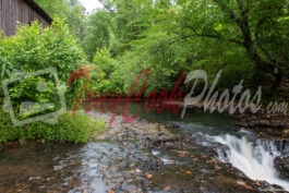 Covered Bridge Coheelee Creek Bridge Waterfall