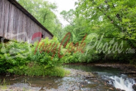 Covered Bridge Over Coheelee Creek; Bridge & Waterfall