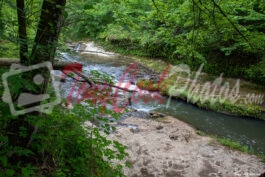 Covered Bridge over Coheelee Creek Waterfall