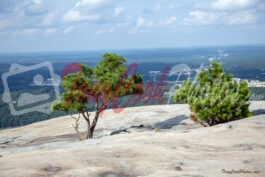 Stone Mountain Top View