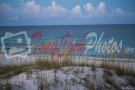 Sand Dunes and Ocean