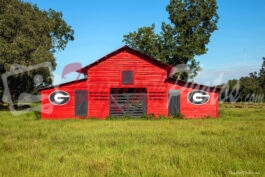 Georgia Bulldog Barn