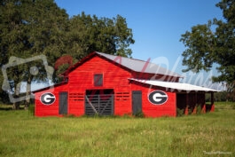 Georgia Bulldog Barn