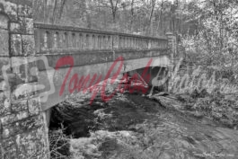 Bridge at Pisgah National Forest, Brevard North Carolina (Black&White Photo)