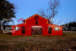 Georgia Bulldog Barn Christmas Time (Color Photo)
