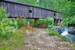 Coheelee Creek Covered Bridge, Early County Georgia