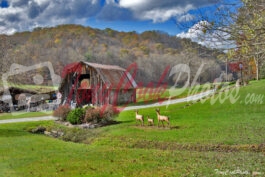 Old Fashion Barn in the Mountains of Brevard North Carolina (Color Photo)