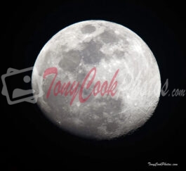 Moon Photo #5905 Tamron 150-600mm