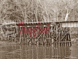 B’bridge Train Trestle Photo#9906 Crop 720 B&W Tcp Copy