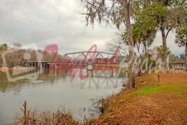 B’bridge Train Trestle Photo#9907E (Trees Removed) 720