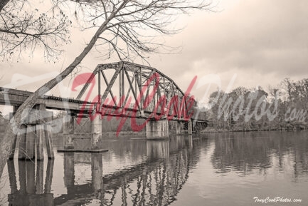 B'bridge Train Trestle Photo#9935E B&W Sepia 720 Tcp