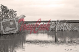 B’bridge Train Trestle Photo# 9945E B&W Sepia 720 Tcp