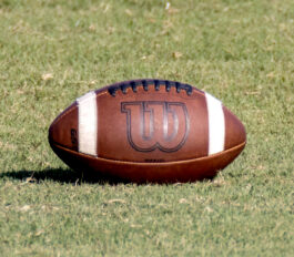 Miller County Varsity Football