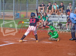 MC vs SC A Kelley Batting Crop 6571