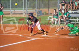 Miller vs Seminole 6577