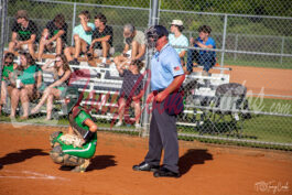 MC vs SC Umpire 6602