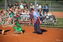 MC vs SC 6603 Umpire